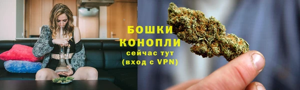 ГАЛЛЮЦИНОГЕННЫЕ ГРИБЫ Лиски
