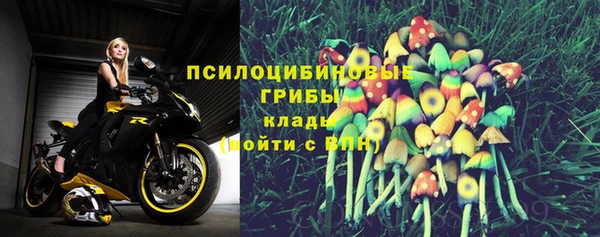 ГАЛЛЮЦИНОГЕННЫЕ ГРИБЫ Лиски