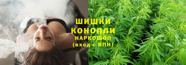 ГАЛЛЮЦИНОГЕННЫЕ ГРИБЫ Лиски