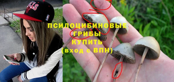ГАЛЛЮЦИНОГЕННЫЕ ГРИБЫ Лиски