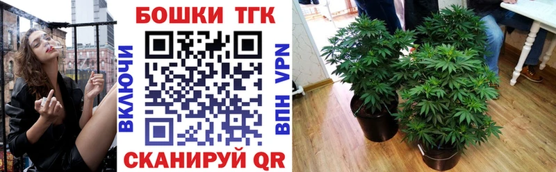 наркотики  Томилино  Каннабис Ganja 